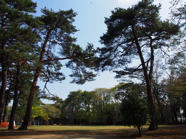 20140414石神井松の風文化公園